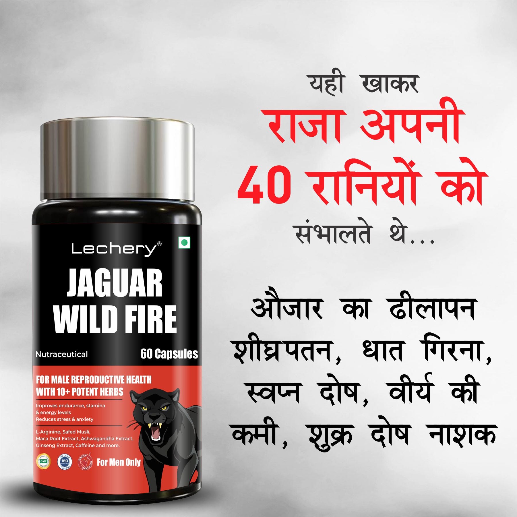 Lechery Jaguar Wild Fire