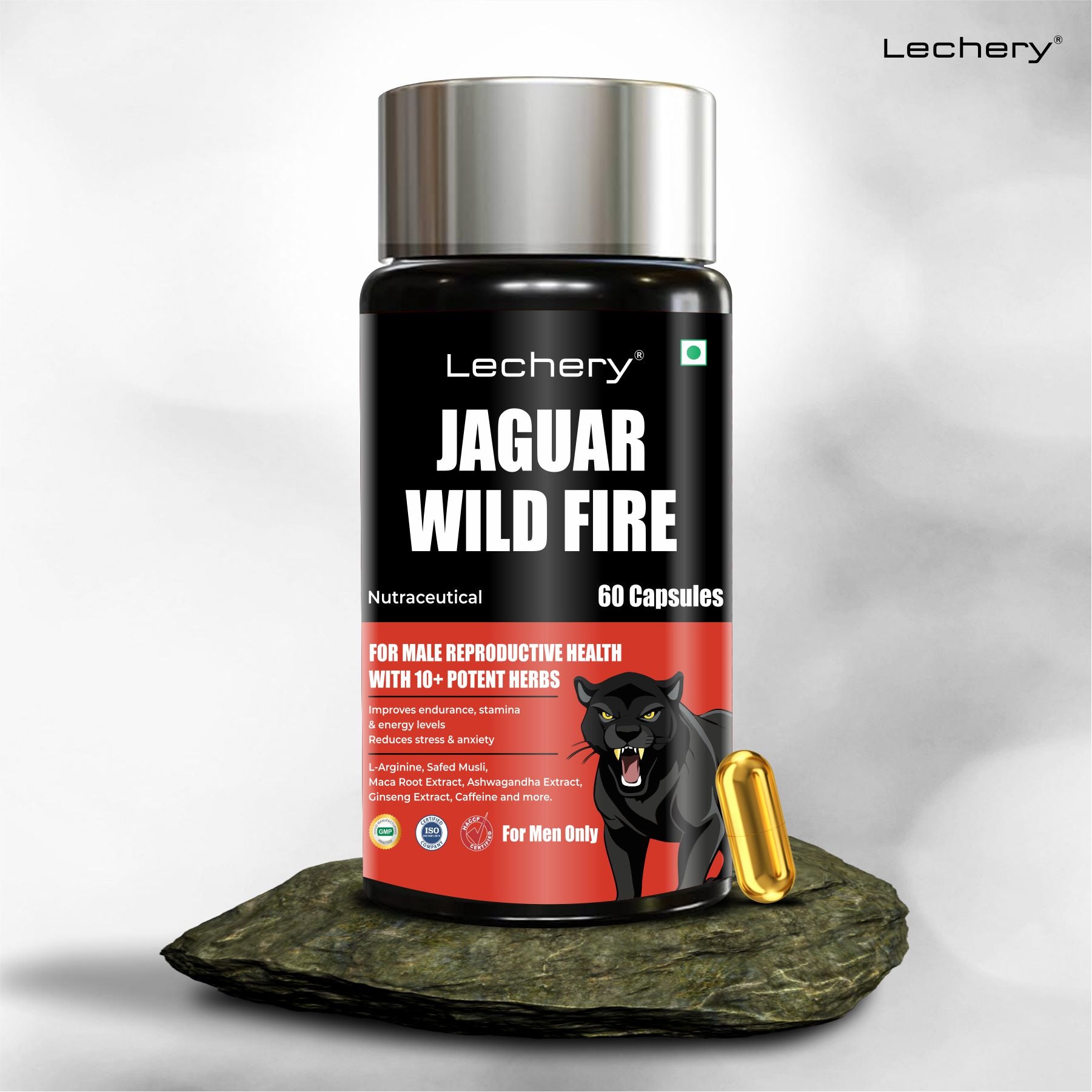 Lechery Jaguar Wild Fire